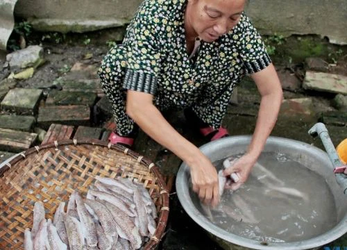 Cá mối nhân hành là đặc sản gì mà đứng xa 1km đã ngửi thấy mùi thơm phưng phức khiến ai cũng muốn thưởng thức?