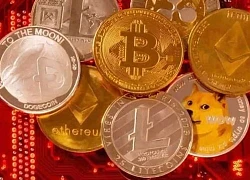 Chủ sàn coin bỏ trốn sau khi chiếm đoạt 2,4 tỷ USD