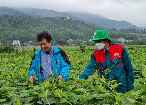 Giá phân bón tăng 200%, nông dân nơi này vẫn ung dung thu lãi lớn nhờ một bí quyết