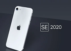 iPhone SE 2020 ra sao cận ngày iPhone SE 3 ra mắt?