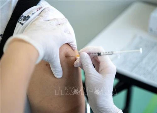 Nhật Bản: Tiêm kết hợp vaccine giúp tăng kháng thể chống COVID-19