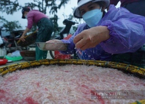 Phát hiện nhóm tiểu thương nhuộm ruốc tươi bằng một dung dịch màu đỏ, chứa chất cấm, Đà Nẵng yêu cầu xử lý ngay