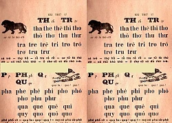 SGK không dạy chữ P: Cải tiến hóa thành cải lùi...64 năm