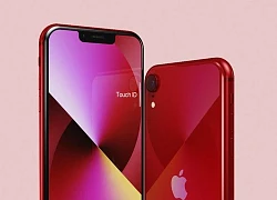 Sự kiện mùa Xuân của Apple sẽ được "vén màn" vào ngày mai: Thư mời đã sẵn sàng, iPhone 9 triệu chuẩn bị lên hàng?