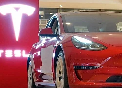 Thương hiệu xe điện nào được tìm kiếm nhiều nhất thế giới ngoài Tesla?