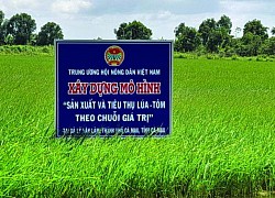 4 nhóm giải pháp hỗ trợ nông dân chuyển đổi số và từng bước tham gia kinh tế số