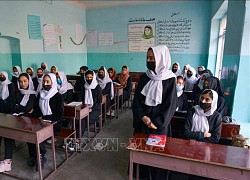 HĐBA LHQ hối thúc Taliban mở lại trường học cho nữ sinh tại Afghanistan