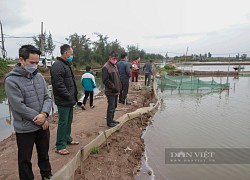 Nam Định muốn &quot;xóa sổ&quot; khu nuôi trồng thủy sản 431ha Cồn Xanh: Hàng nghìn người dân nguy cơ mất việc, vỡ nợ (Bài 1)