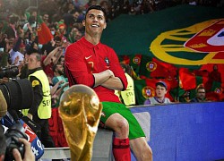 Thêm 7 đội tuyển giành vé dự World Cup 2022