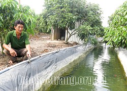 Đào rãnh trong vườn rồi lót bạt không phải để nuôi cá mà nông dân Sóc Trăng đối phó với nguy cơ gì?