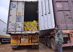 Bộ trưởng Lê Minh Hoan: Trung Quốc chuyển sang thị trường khó tính lâu rồi, doanh nghiệp phải dẫn dắt nông dân