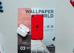 Đây là mẫu iPhone người dùng không nên mua kẻo hối hận không kịp!