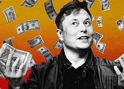 Em trai Elon Musk: &#8216;Anh tôi không ham tiền&#8217;