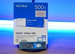 Lưu trữ tốc độ cao với bộ ba SSD NVMe của Western Digital