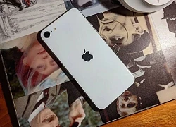 Ming-chi Kuo vạch mặt những chi tiết có trên iPhone SE 3