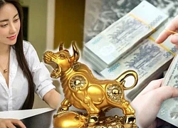 Số trời định sẵn: Top 3 con giáp tình tiền vượng phát, có Quý Nhân phương xa tới trao cơ hội lớn, giàu nhanh chóng mặt trong 13 ngày tới