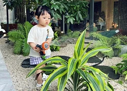 Bên trong biệt thự bề thế của Cường Đô La có gì, riêng khu ái nữ vui chơi đã cực khủng?