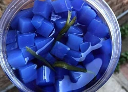 Cách làm Thạch dừa thơm bùi, hấp dẫn cực đơn giản tại nhà