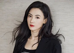 Đại dịch Covid-19 khiến Trương Bá Chi kinh doanh lỗ chổng vó