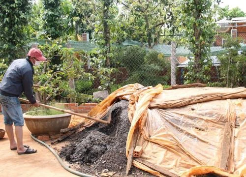 Đắk Lắk: Ngày trước những thứ này đem đốt bỏ, nay ủ làm phân bón, đúng là "nhất cử lưỡng tiện"