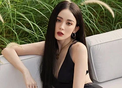 Diễn dở xỉu nhưng dàn sao này có thù lao cao vô lý: Nhiệt Ba "ôm" 350 tỷ cũng chưa bằng người từng 3 lần đứng top "thảm họa"!