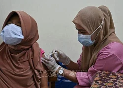 Indonesia chuẩn bị lộ trình từng bước chuyển sang giai đoạn bệnh đặc hữu