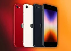 iPhone SE 3 giá từ 11 triệu đồng tại Việt Nam