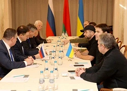 Nga - Ukraine đàm phán lần 3 tìm giải pháp ngừng chiến sự