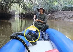 Người đàn ông chọc giận con rắn dữ khiến nó rơi xuống thuyền, kết cục sẽ ra sao?