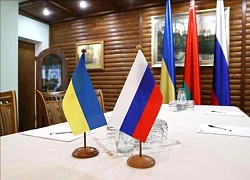 Thổ Nhĩ Kỳ thông báo về cuộc gặp ba bên với Nga và Ukraine