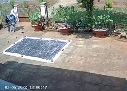 Toàn cảnh một vụ trộm "vàng đen" gây ngán ngẩm, bức xúc