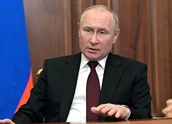 Tổng thống Putin nói Nga chỉ điều quân chính quy tới Ukraine