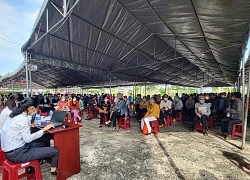 Xét xử Tổng giám đốc công ty du lịch lừa hơn 159 tỷ ở Hậu Giang