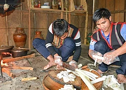 Bắt cá niên dưới suối lên nấu với cây chuối rừng, món ăn nhà nghèo xưa nay thành đặc sản thượng hạng ở Kon Tum