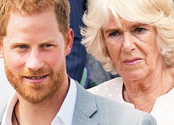 Bị mẹ kế Camilla dùng ảnh Meghan để nhắc nhở sâu cay, Hoàng tử Harry "đáp trả" đầy khôn khéo