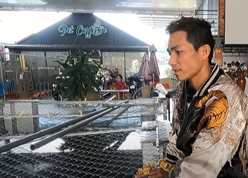 Bộ sưu tập thú cưng tiền tỉ của đại gia miền Tây, "dát" cả 50 lượng vàng lên người