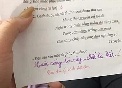 Học sinh lớp 1 đặt câu với từ phức, cô giáo đang vui vẻ, đọc đáp án của trò bỗng hóa trầm cảm: Đời con trải qua bi kịch gì vậy?