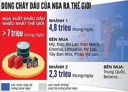 Mỹ và EU cấm vận dầu khí Nga: Lá bài nhiều rủi ro