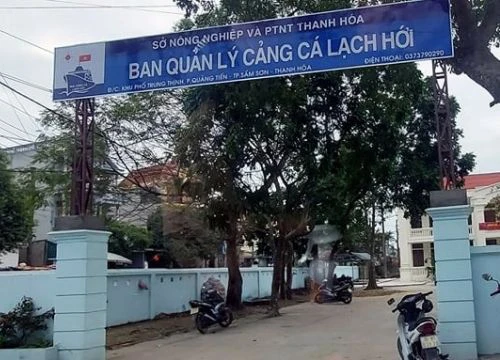 Thanh Hóa: Giám đốc Ban quản lý cảng cá Lạch Hới bị khởi tố vì đánh bạc