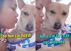 Chú chó nổi quạu khi sen hôn nhiều mà không cho xúc xích