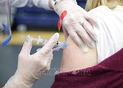 Nghiên cứu cơ chế dẫn vaccine sử dụng phương pháp sinh học tổng hợp