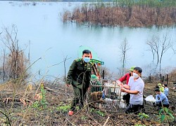 39 động vật quý hiếm được Vườn Quốc gia Vũ Quang tiếp nhận, thả về môi trường tự nhiên