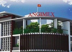 Angimex (AGM) 'chốt' mục tiêu doanh thu hơn 8.000 tỷ đồng, gấp đôi năm ngoái