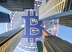 Các quỹ đầu tư đang đổ tiền vào Bitcoin