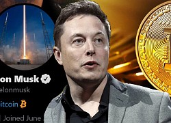 Elon Musk bất ngờ tiết lộ đang gom rất nhiều tiền số, quyết tâm không bán một đồng nào!