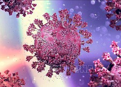 Israel phát hiện biến thể lai mới của virus SARS-CoV-2