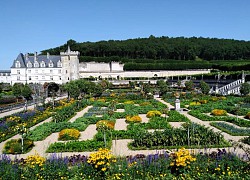 Lâu đài Villandry, khi nghệ thuật bắt nhịp cùng thiên nhiên