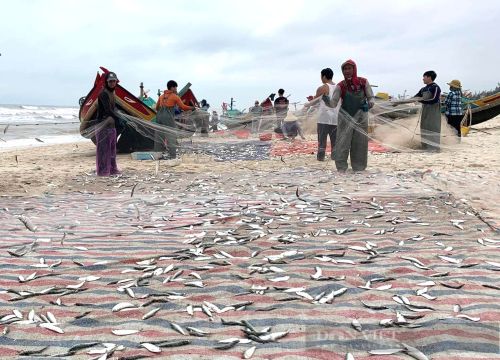 Thật bất ngờ, người đầu tiên góp công mang "kho báu" 7.000 tỷ lên Bắc Giang là một ông nông dân tên Trụ