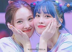 Thời tới rồi các bạn ơi: Sau ẩn ý từ Rosé, tới lượt Nayeon và Momo (TWICE) cũng tỏ tình fan Việt bằng Google dịch cưng muốn xỉu!