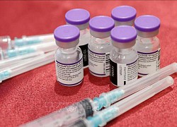 WTO hoan nghênh bước tiến về dỡ bỏ quyền sở hữu trí tuệ vaccine ngừa COVID-19